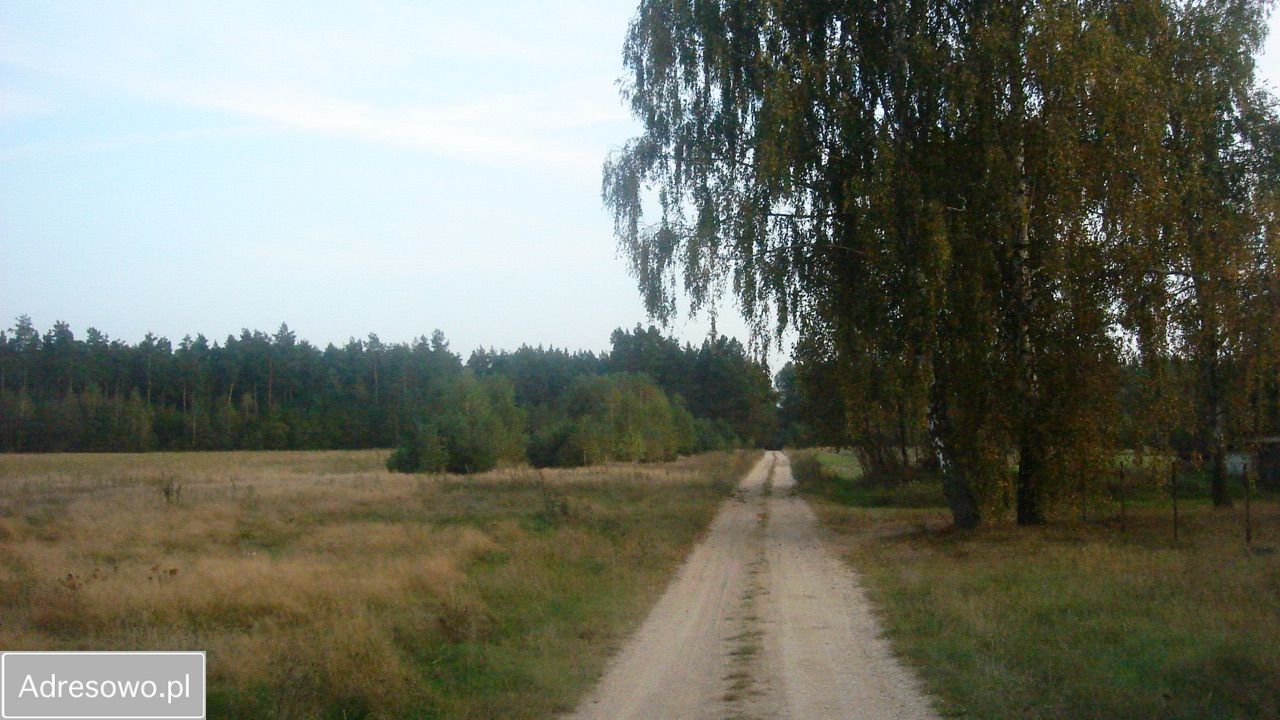 Działka siedliskowa Żeliszew Duży. Zdjęcie 6