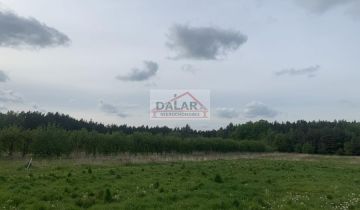 Działka rolna Pęcław