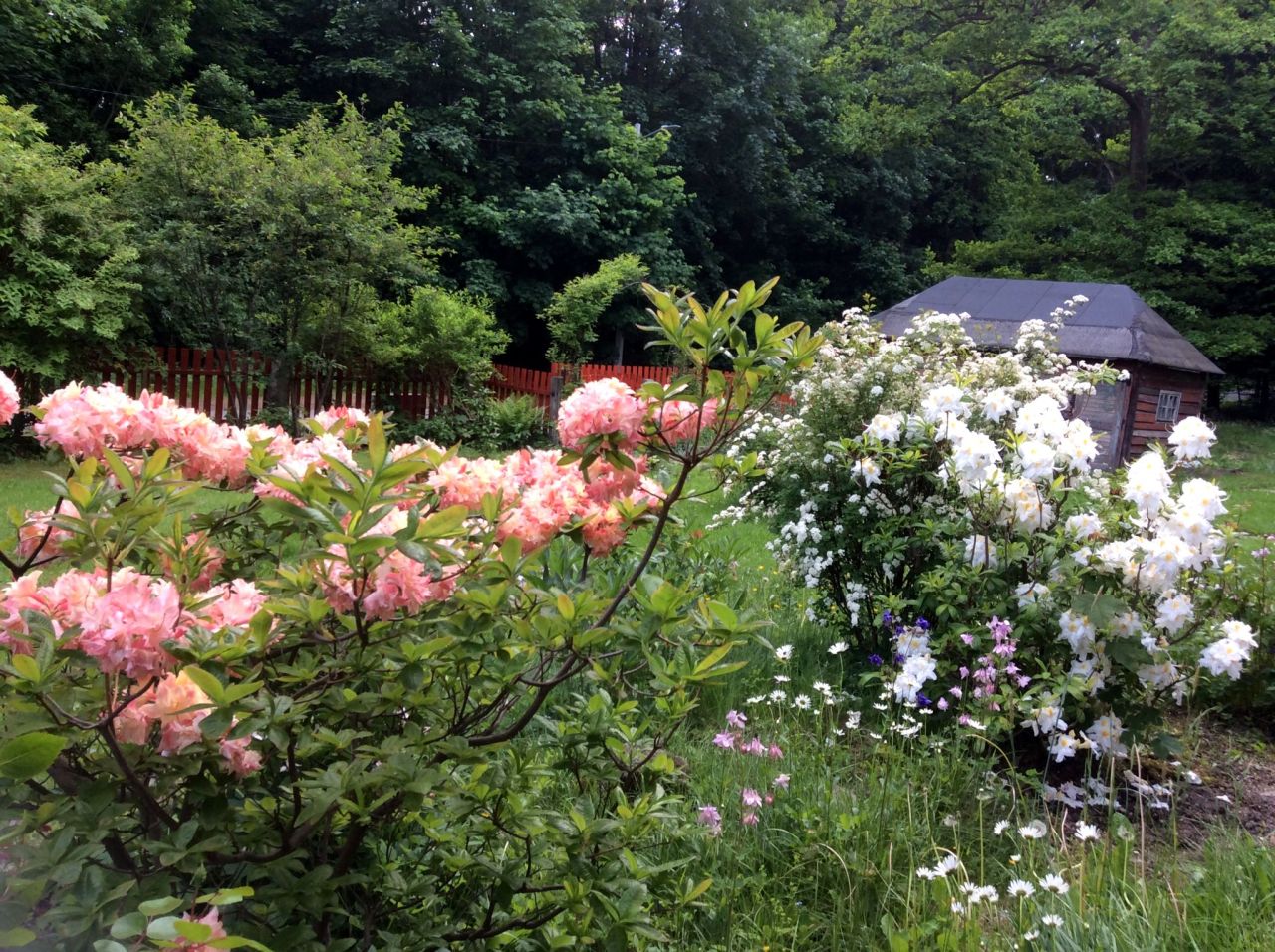 dom wolnostojący, 4 pokoje Piechowice, ul. Leśna. Zdjęcie 11