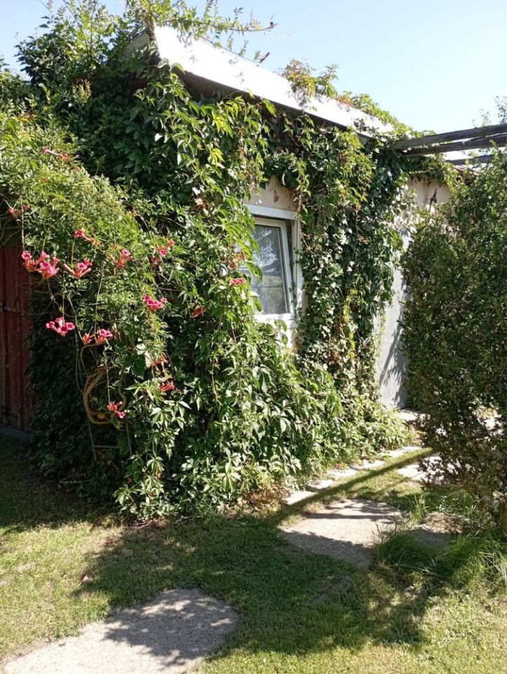 Działka rod Żary, ul. Wiśniowa. Zdjęcie 1