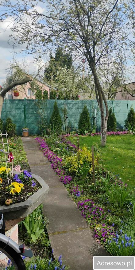 Działka rod Pabianice. Zdjęcie 5