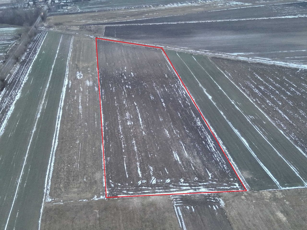 Działka rolna Kotlice. Zdjęcie 8