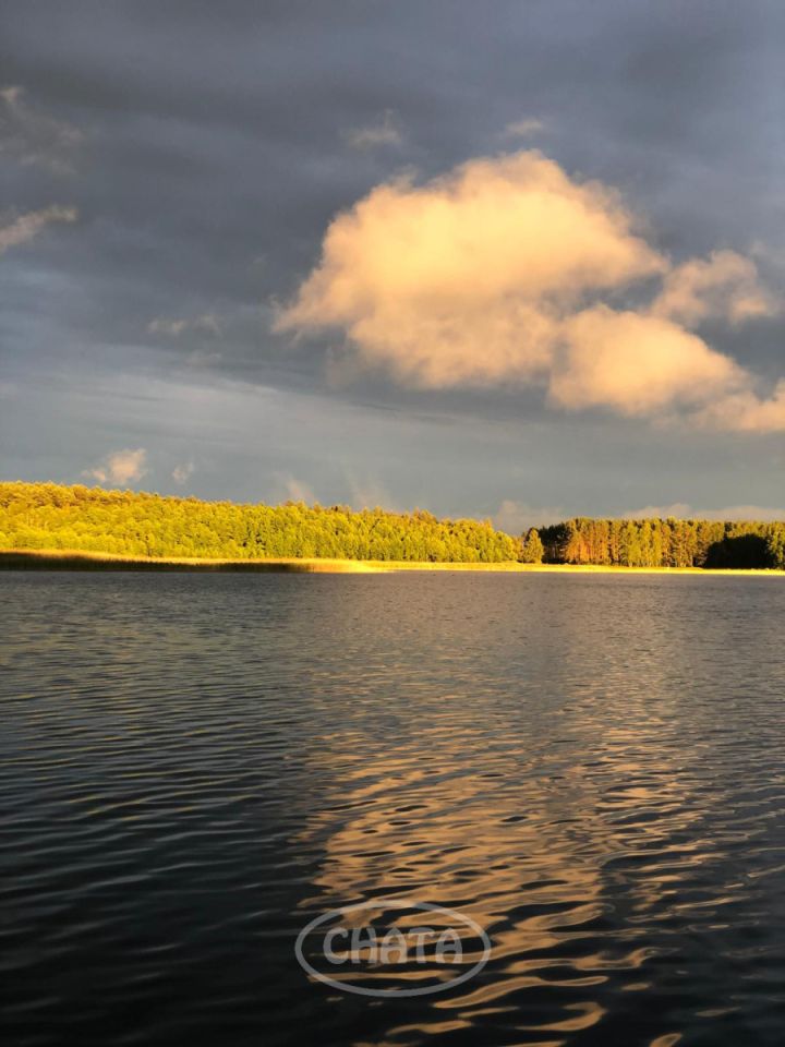 Działka rolna Huta Wielka. Zdjęcie 1