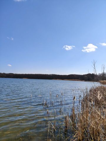 Działka budowlana Zawady, brak. Zdjęcie 10