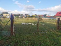 Działka rolno-budowlana Szymanów, ul. Mostowa. Zdjęcie 3