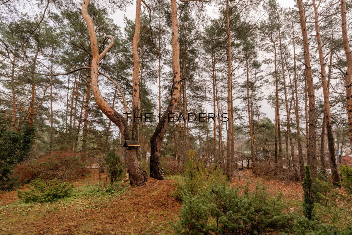 Działka inwestycyjna Konstancin-Jeziorna. Zdjęcie 9