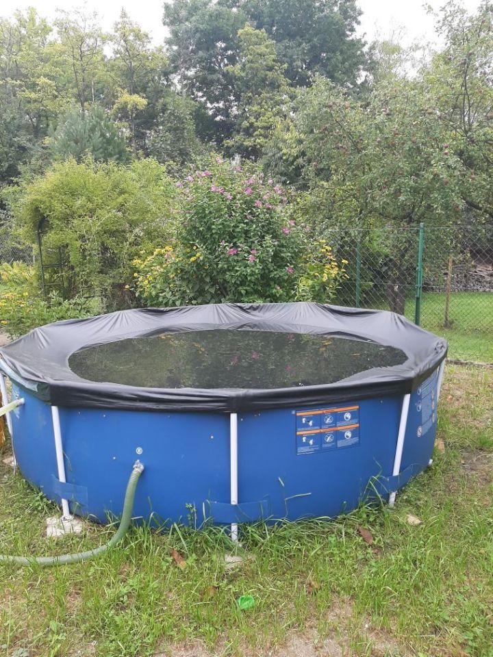 Działka rod Sosnowiec, ul. Jaskółek. Zdjęcie 3