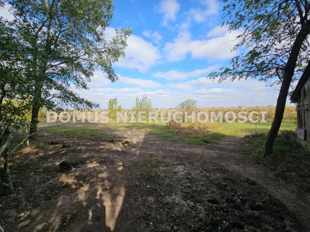 dom wolnostojący, 5 pokoi Bogoria Górna. Zdjęcie 5