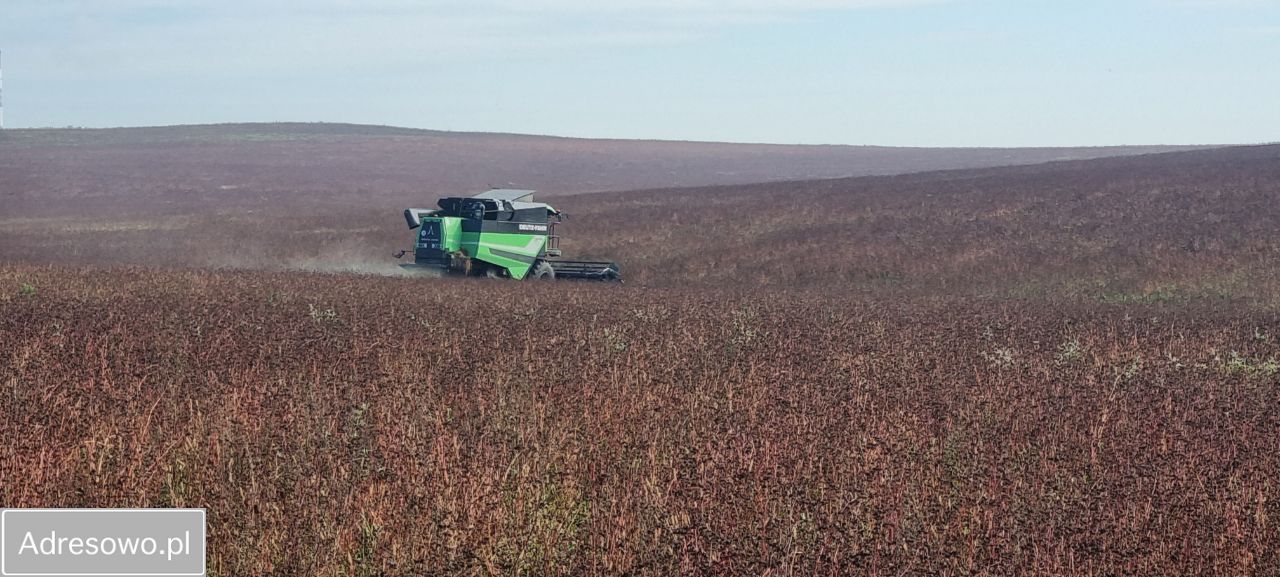 Działka rolna Jaworzno. Zdjęcie 7