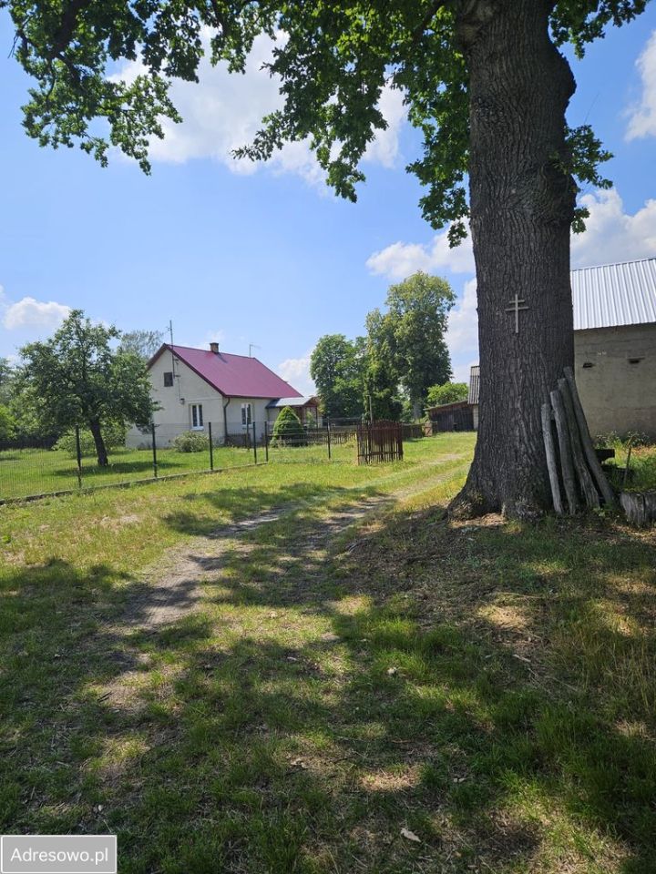 siedlisko, 3 pokoje Płatkownica. Zdjęcie 4