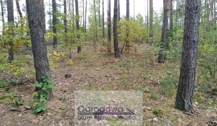 Działka budowlana Wilcza Góra