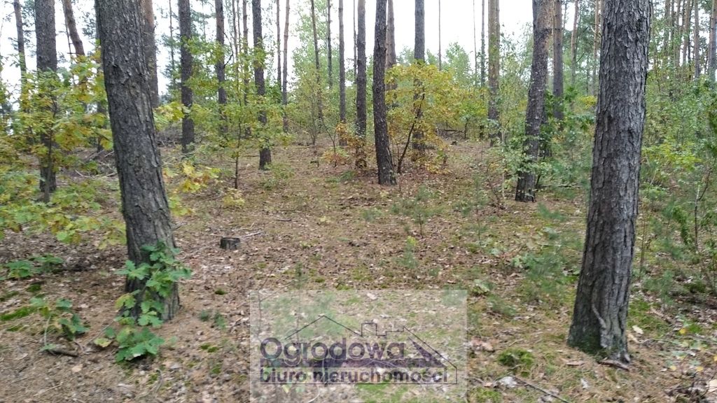 Działka budowlana Wilcza Góra. Zdjęcie 1