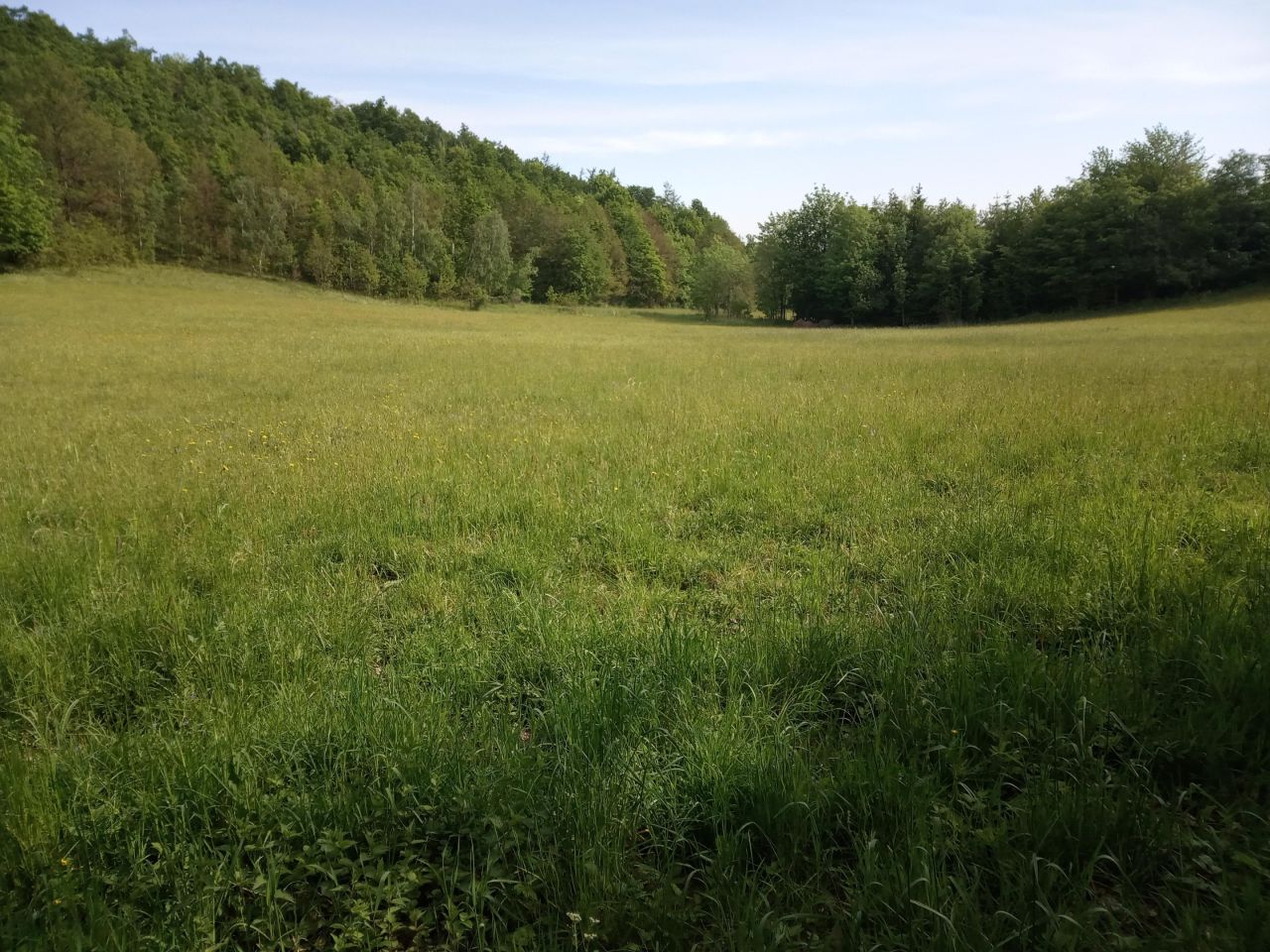 dom wolnostojący Mikołajów. Zdjęcie 13