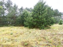 Działka budowlana Cierpice. Zdjęcie 2