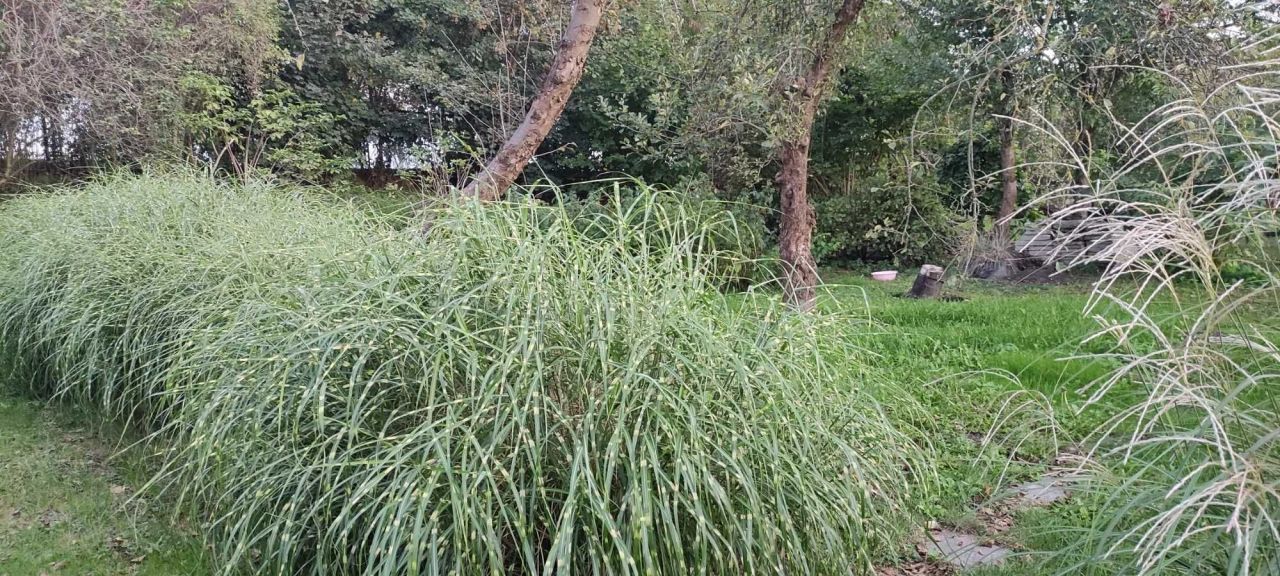 Działka rod Lublin. Zdjęcie 2