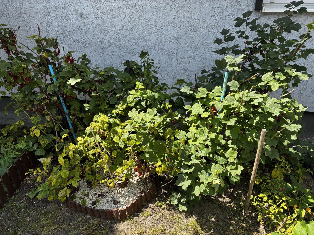 Mieszkanie 2-pokojowe Luboń Lasek, ul. Rydla. Zdjęcie 14