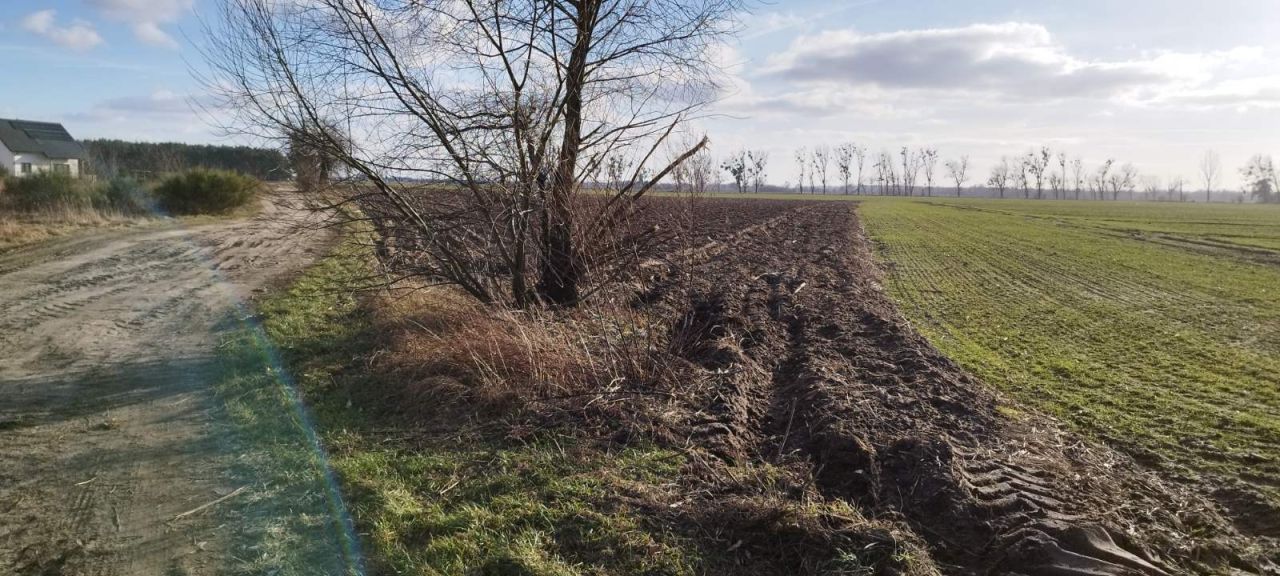 Działka inwestycyjna Wojnowice, ul. Akacjowa. Zdjęcie 17