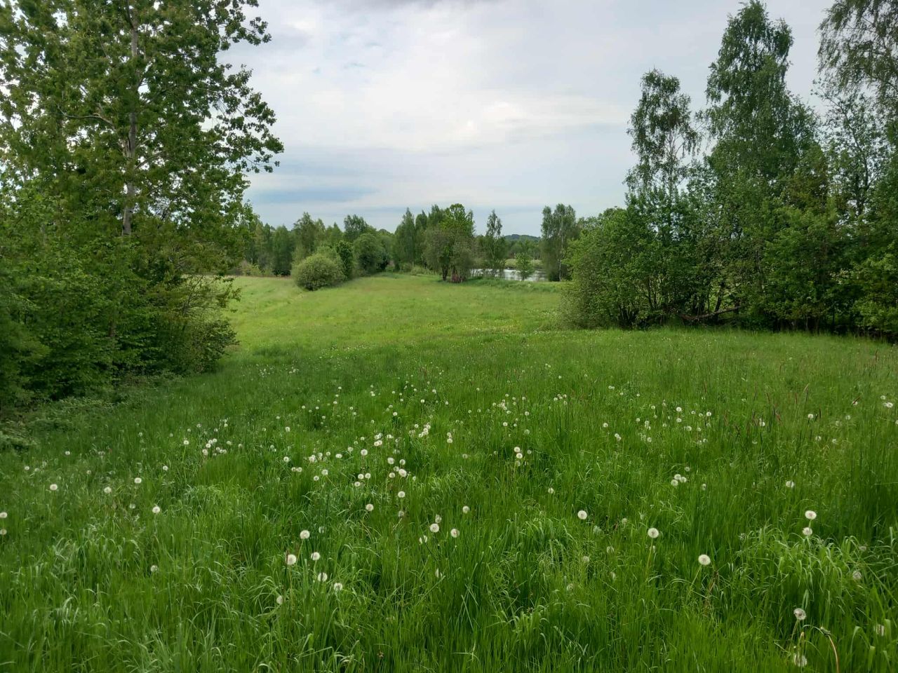 Działka rolno-budowlana Gowidlino Kawle, ul. Łąkowa. Zdjęcie 4