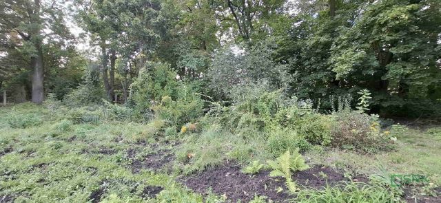 Działka inna Sosnowiec Ostrowy Górnicze, ul. Obwodowa. Zdjęcie 6