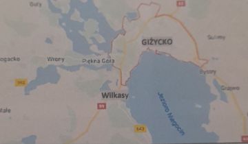 bliźniak Wilkasy