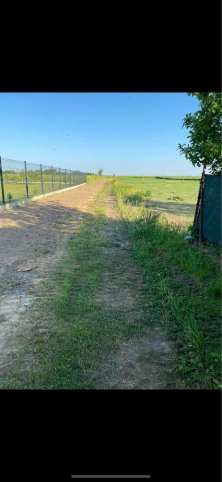 Działka budowlana Lipowa. Zdjęcie 3