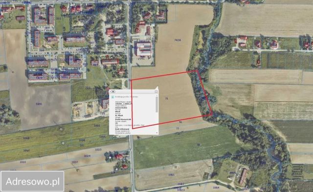 Działka rolna Płock Podolszyce, ul. Żyzna. Zdjęcie 1