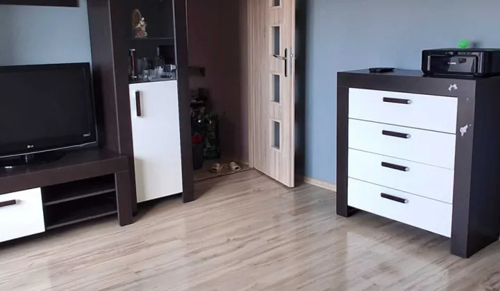 Mieszkanie 2-pokojowe Niegolewo