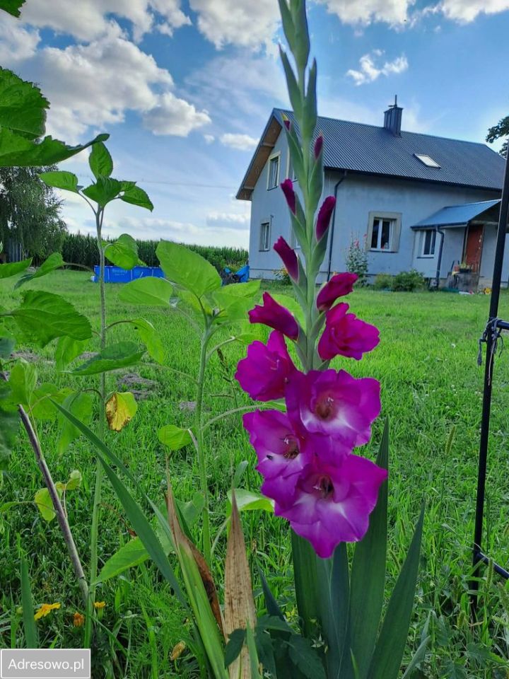 dom wolnostojący, 7 pokoi Zosin. Zdjęcie 7