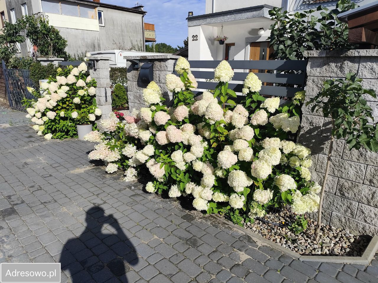 dom wolnostojący, 5 pokoi Reda, ul. Graniczna. Zdjęcie 12