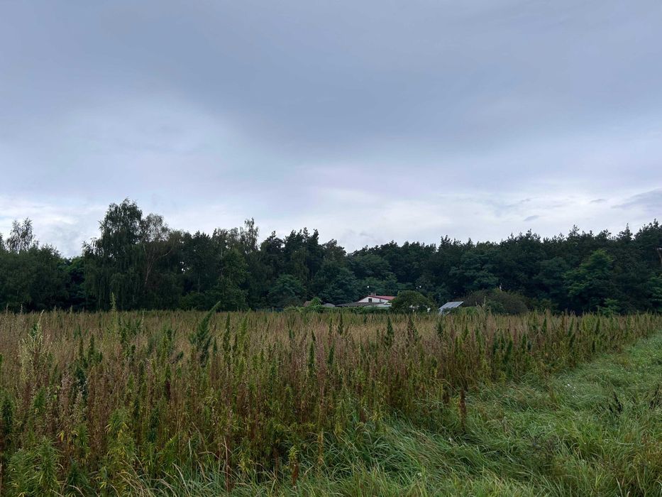 Działka budowlana Grudziądz, ul. Maciejkowa. Zdjęcie 2