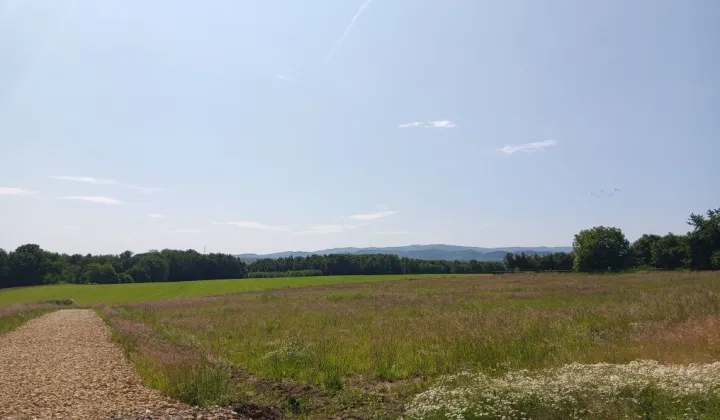 Działka budowlana Nidek