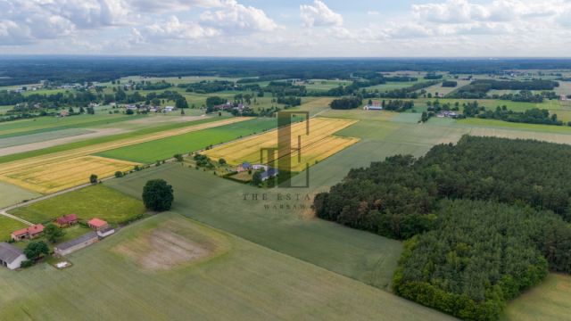 Działka rolna Czarnoty. Zdjęcie 5