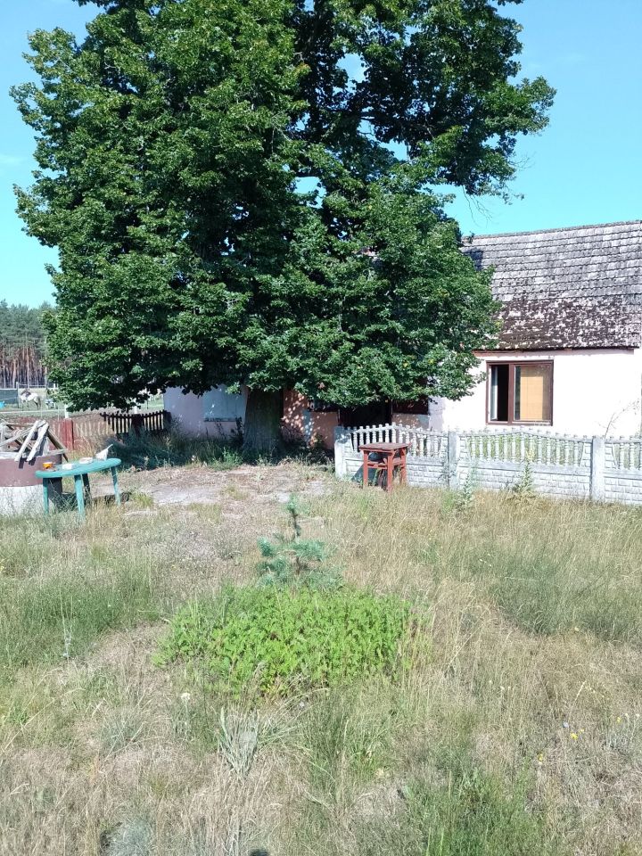 dom wolnostojący Szarki