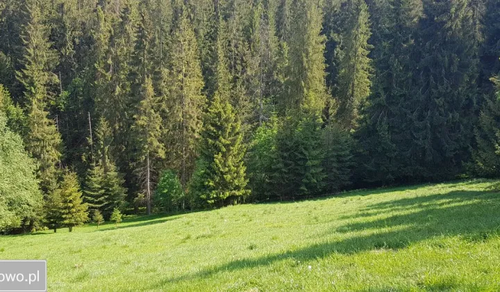 Działka inwestycyjna Leśnica