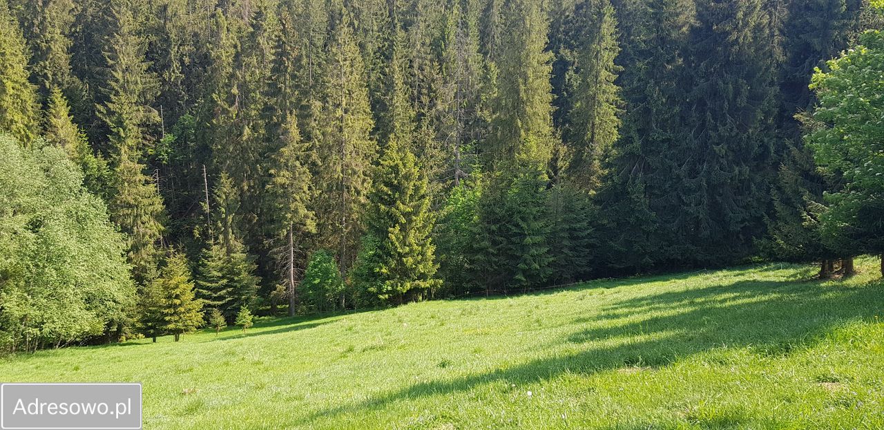 Działka inwestycyjna Leśnica