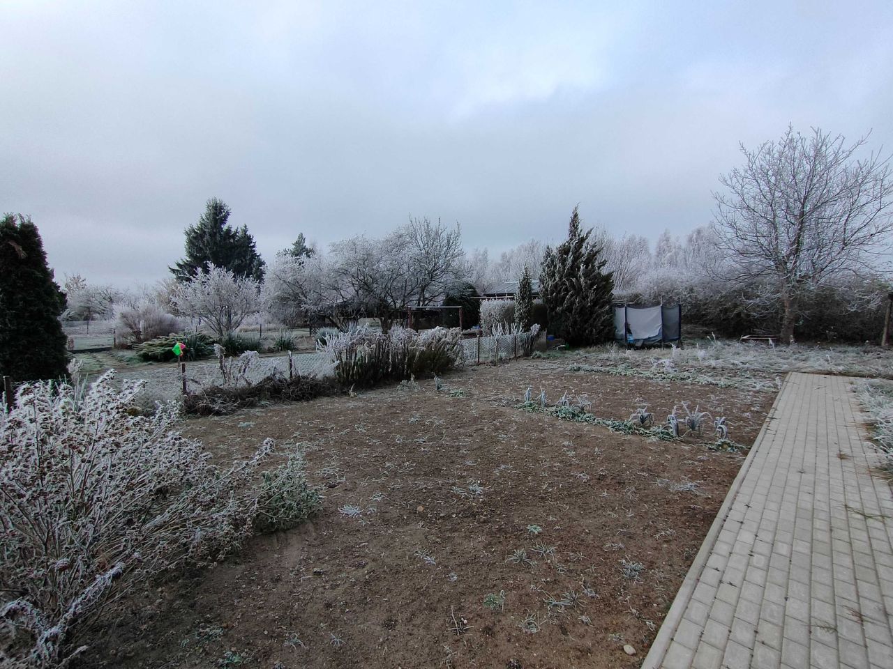 Działka rod Sępólno Krajeńskie. Zdjęcie 2