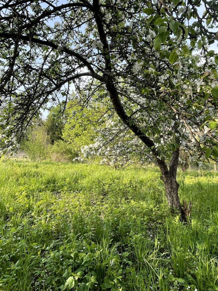 dom wolnostojący, 4 pokoje Jelenia Góra. Zdjęcie 12