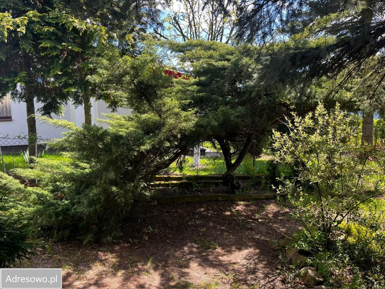 Działka rod Suchy Las. Zdjęcie 10