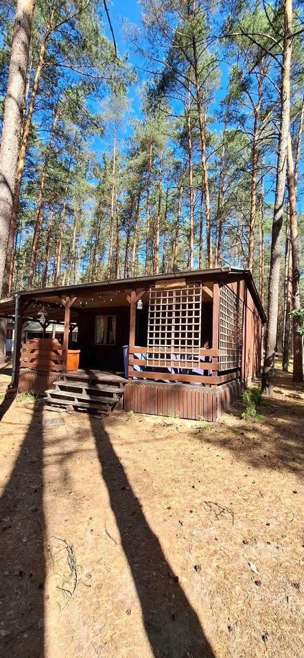 dom letniskowy Chojno-Wieś. Zdjęcie 1