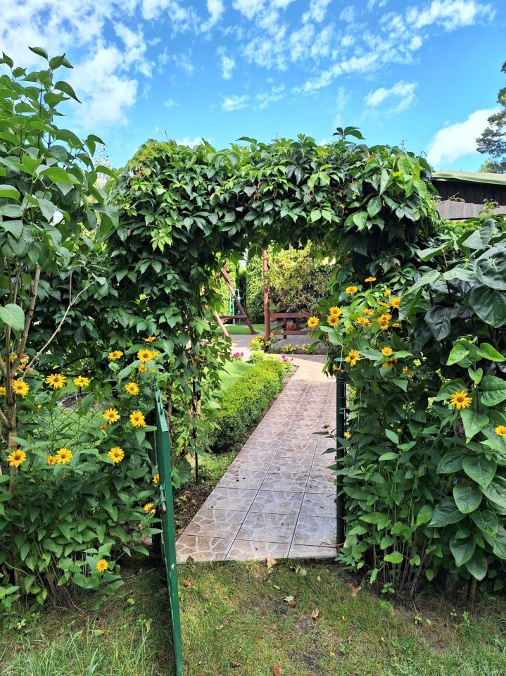 Działka rod Drzewce, ul. Ogrodowa. Zdjęcie 3