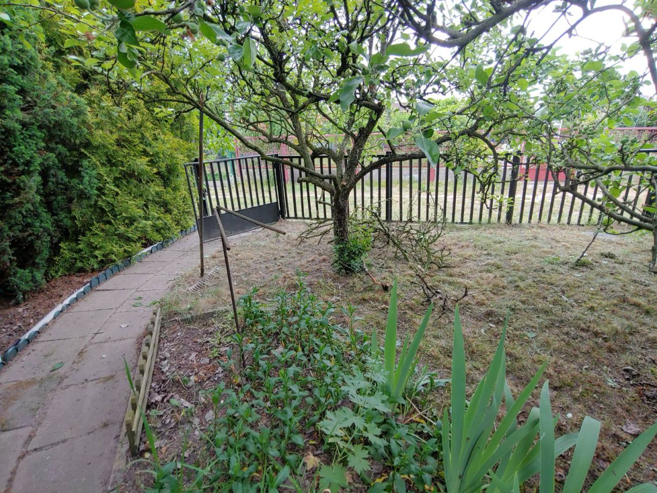 Działka rod Ostrów Wielkopolski, ul. Srebrna. Zdjęcie 6