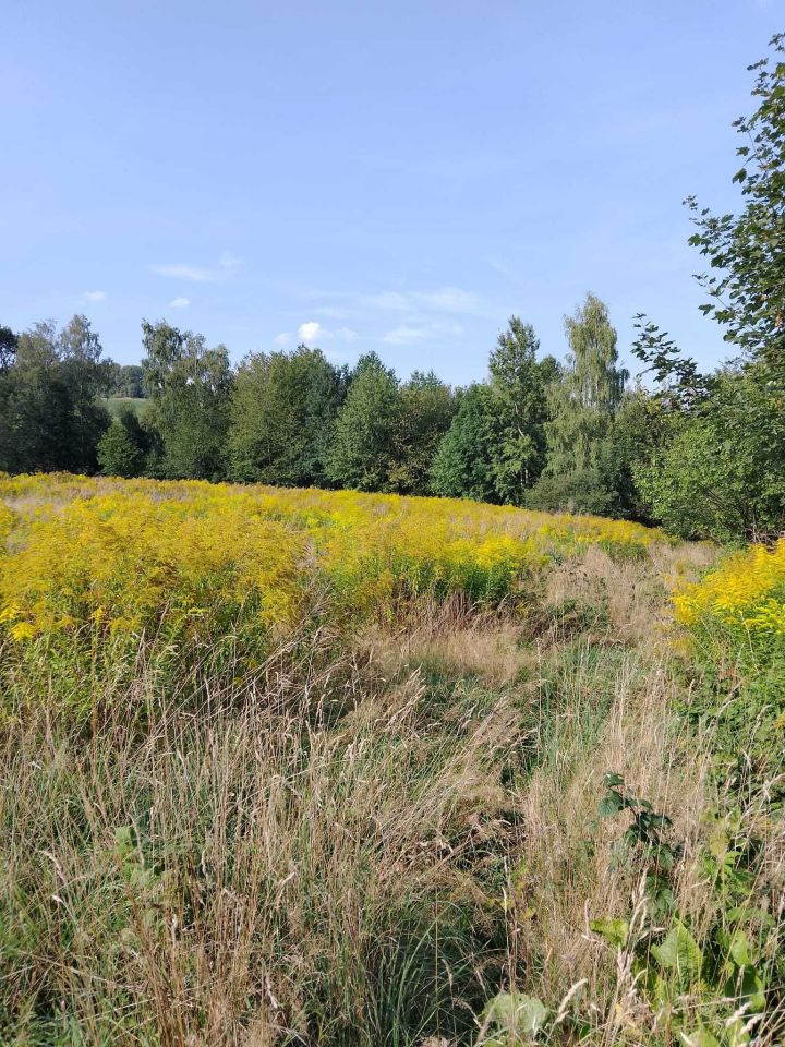 Działka rolna Jeżów Sudecki. Zdjęcie 3
