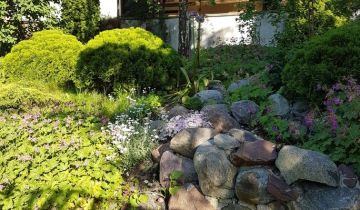 Działka rod Wójcin