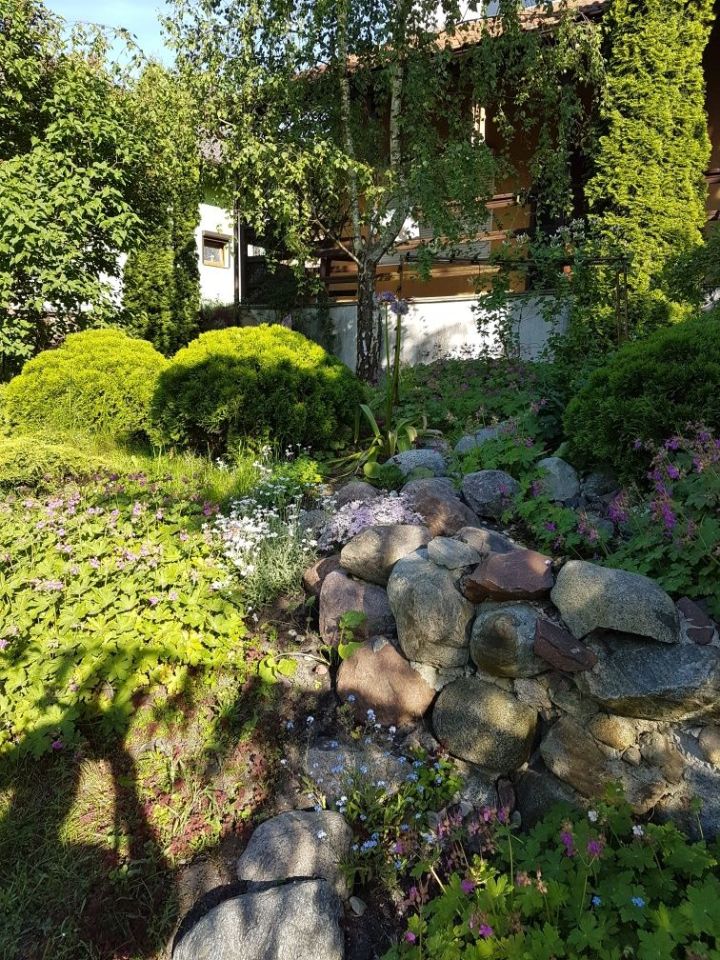 Działka rod Wójcin. Zdjęcie 2