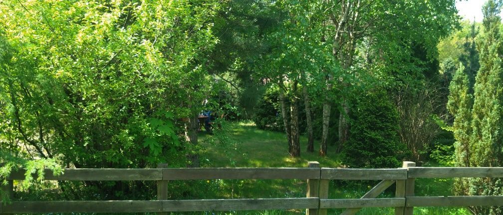 Działka rod Łódź Zdrowie. Zdjęcie 6