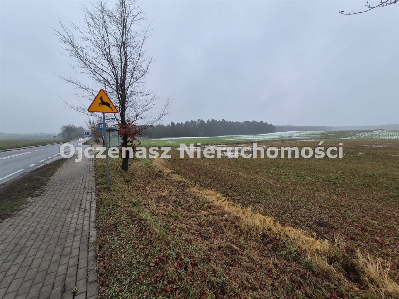 Działka inwestycyjna Osówiec. Zdjęcie 11