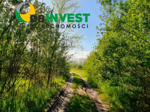 Działka rolna Orle, ul. Szczęśliwa. Zdjęcie 1