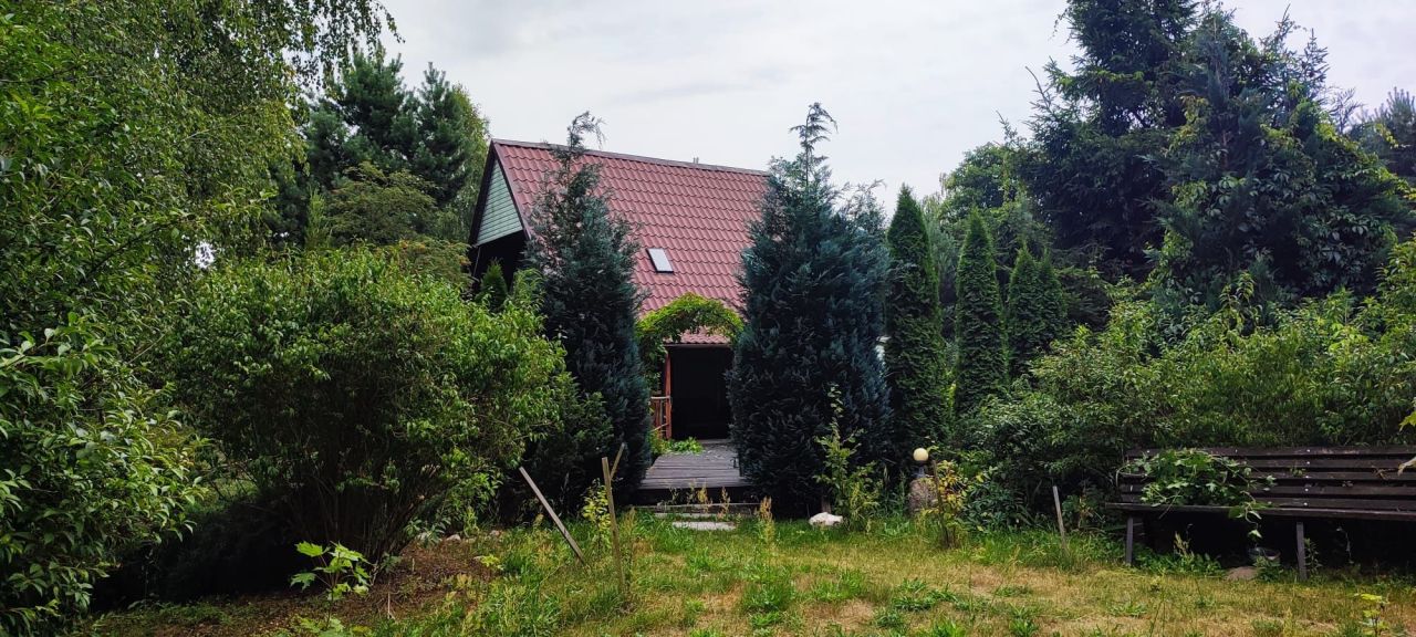 dom letniskowy Studzianka