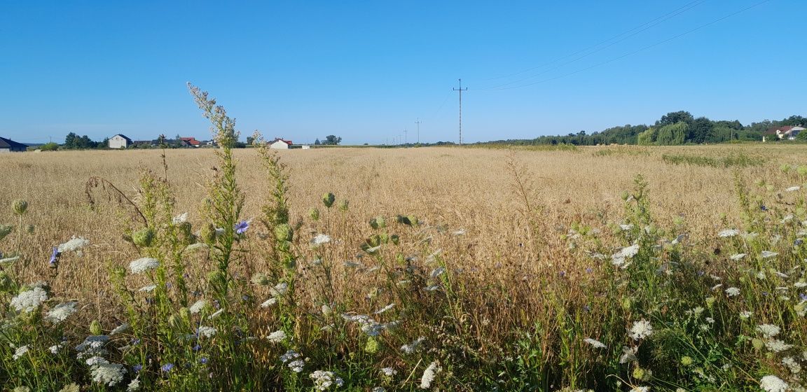 Działka budowlana Trzepowo