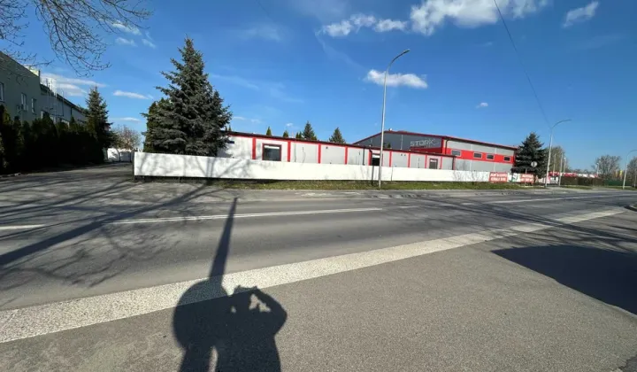 Hala/magazyn Tarnobrzeg Nagnajów, ul. Strefowa